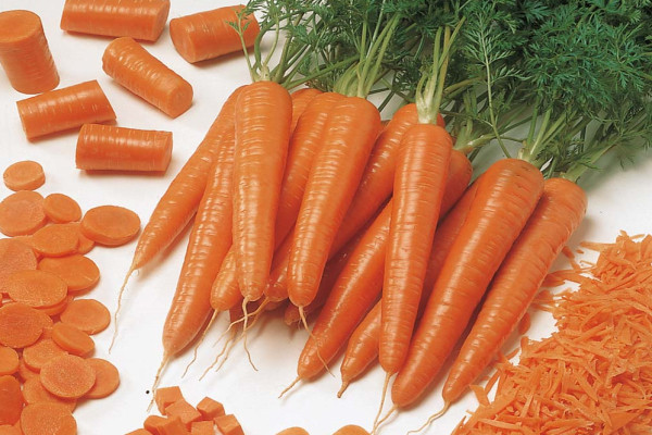 7585-carrot.jpg