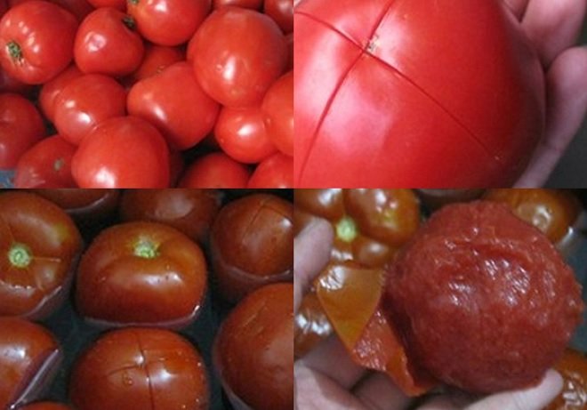 các công đoạn sơ chế cà chua