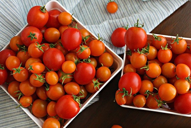 Những quả cà chua hội đủ tiêu chí tươi sạch
