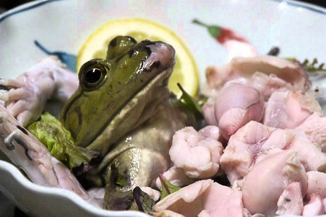cách chọn thịt ếch tươi ngon