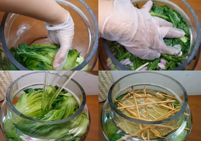 Cho dưa cải và nước vào bình và ấn chặt.