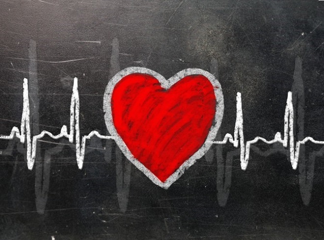 một số dưỡng chất trong dâu tằm ổn định hoạt động của hệ tim mạch