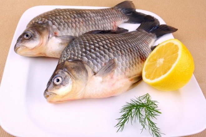 lợi ích dinh dưỡng từ cá chép