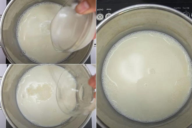 nấu sữa cốt dừa