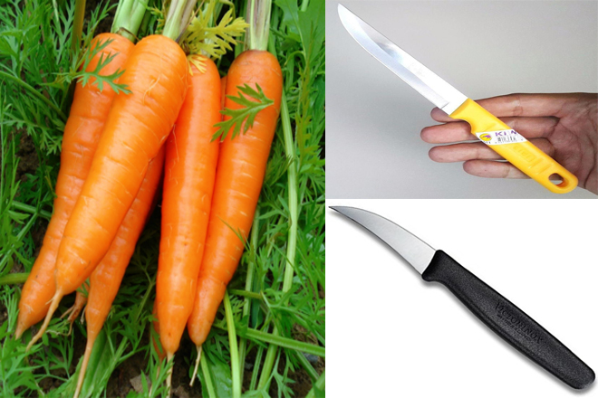 Một số nguyên liệu và dụng cụ tỉa hoa cà rốt 