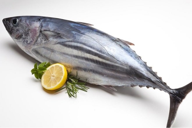 Rất hay cá ngừ ngâm dầu 7 cách chế biến thơm ngon nhiều dinh dưỡng